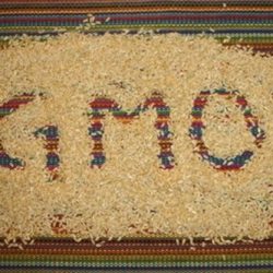 В России ГМО-товарам дали зелёный свет
