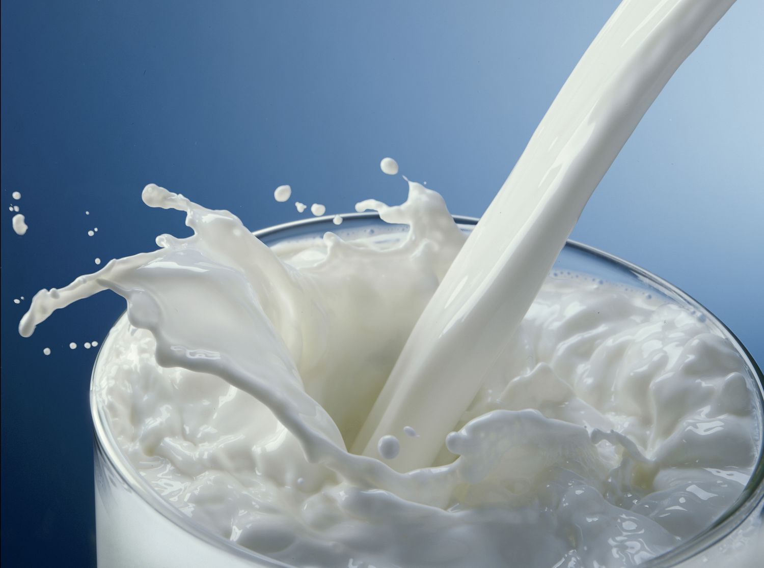 О новых требованиях обязательной маркировки молочной продукции